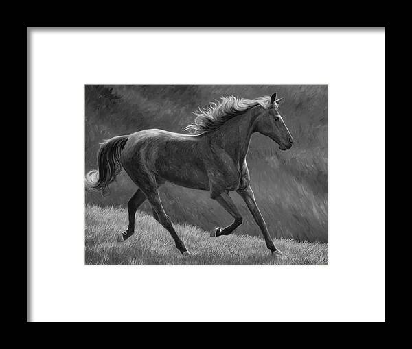 Horse Framed Print featuring the painting Free - Black and White by Lucie Bilodeau