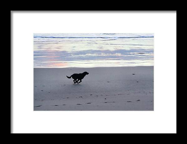 Morro Strand Beach Framed Print featuring the photograph Freedom by Art Block Collections