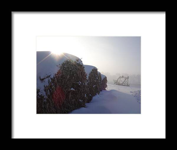 Snow Framed Print featuring the photograph Freezing Fog by Brooke Bowdren