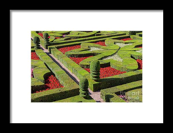 Garden Framed Print featuring the photograph French Garden in Formal Patterns by Heiko Koehrer-Wagner