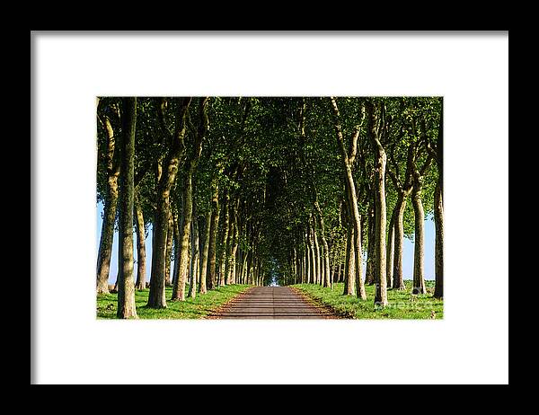 Country Framed Print featuring the photograph French Tree Lined Country Lane by Paul Warburton