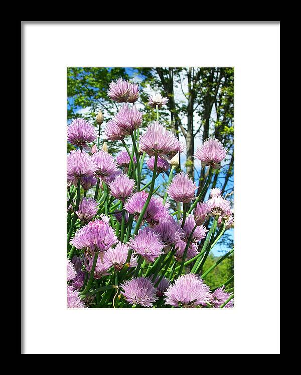 Linda Drown Framed Print featuring the photograph Fresh Perspective by Linda Drown