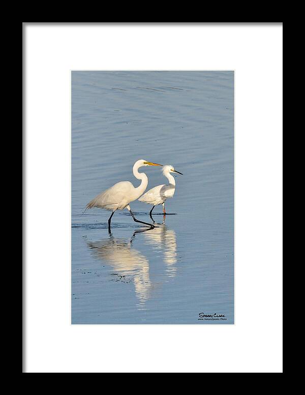  Framed Print featuring the photograph Friends by Sherry Clark