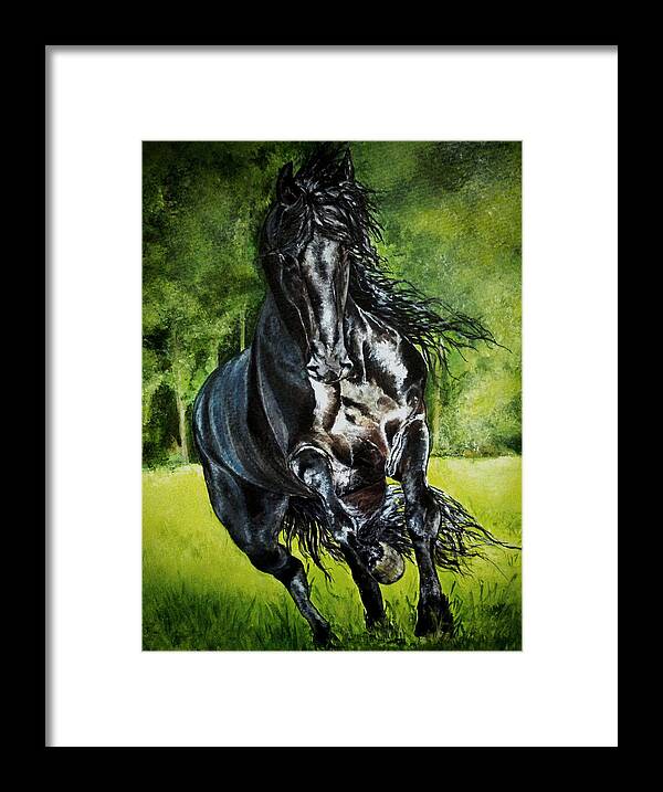 Friesian Horse Framed Print featuring the painting Friesian in Spring by Vivian Casey Fine Art