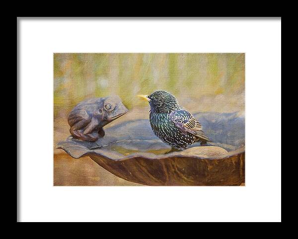 Starling Framed Print featuring the photograph Frog and Bird by Cathy Kovarik