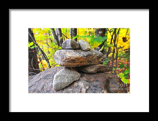 Find In Fine Art America Folder Framed Print featuring the photograph Frog Cairn by Catherine Reusch Daley