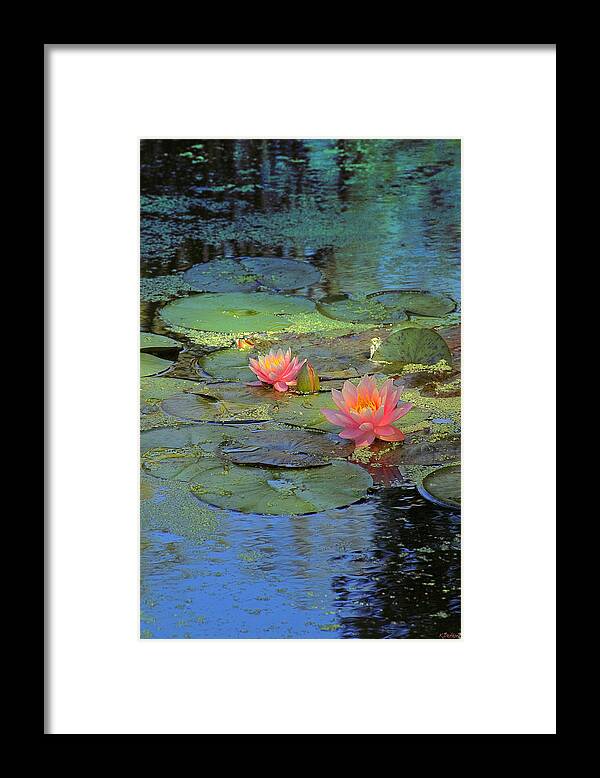 Pond Framed Print featuring the digital art Frog Creek by Kathy Besthorn