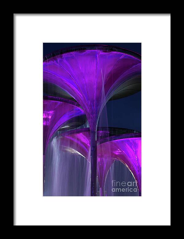 Texas Framed Print featuring the photograph Frog Fountain at Texas Christian University by Greg Kopriva