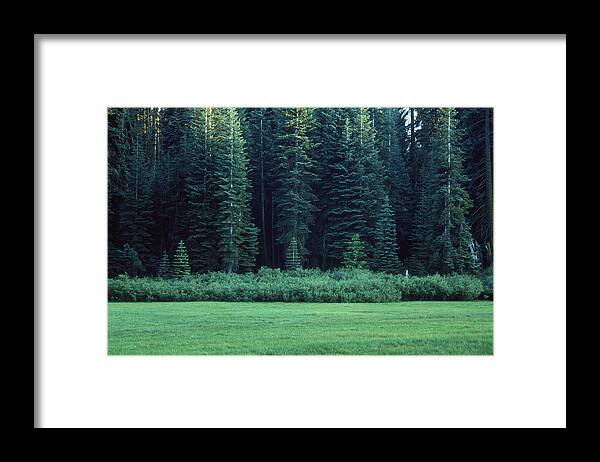 Frog Meadow Framed Print featuring the photograph Frog Meadow by Soli Deo Gloria Wilderness And Wildlife Photography