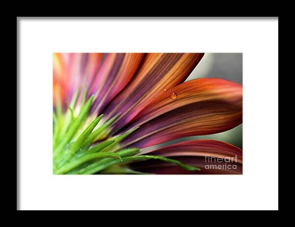 From Framed Print featuring the photograph From Behind by Wendy Wilton