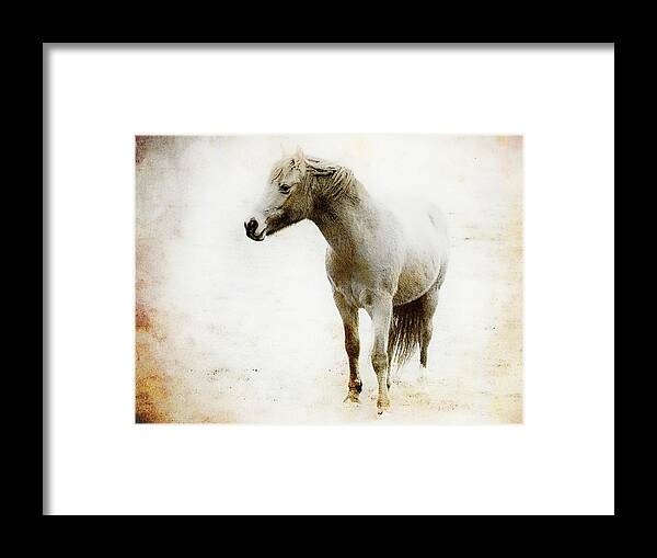 Horse Framed Print featuring the mixed media From the Scrapbook Zibs the Pony by Carol Leigh