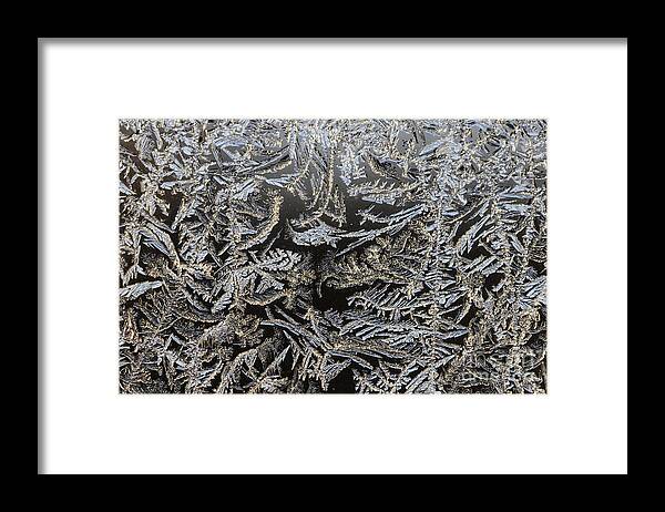 Frost Framed Print featuring the photograph Frost Patterns by Tamara Becker