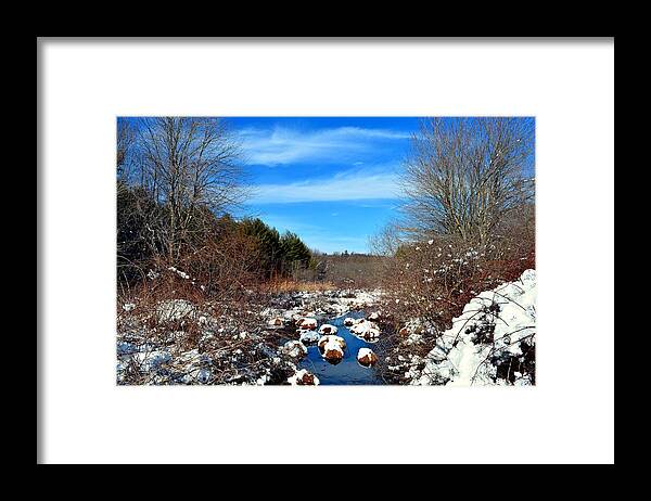 Snow Framed Print featuring the photograph Frosted River Grass by Dani McEvoy