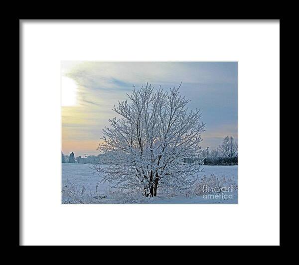 Winter Framed Print featuring the photograph Frosted Sunrise by Heather King