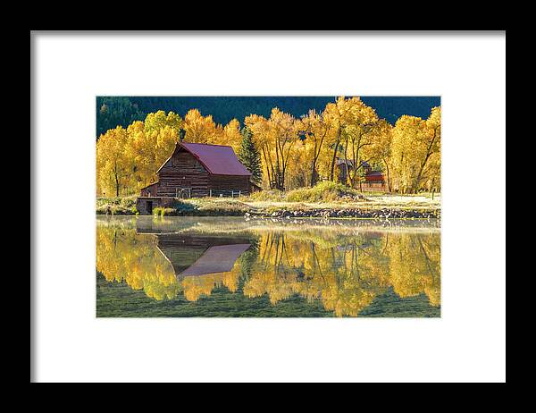 Aspen Trees Framed Print featuring the photograph Frosty Autumn Morning by Teri Virbickis