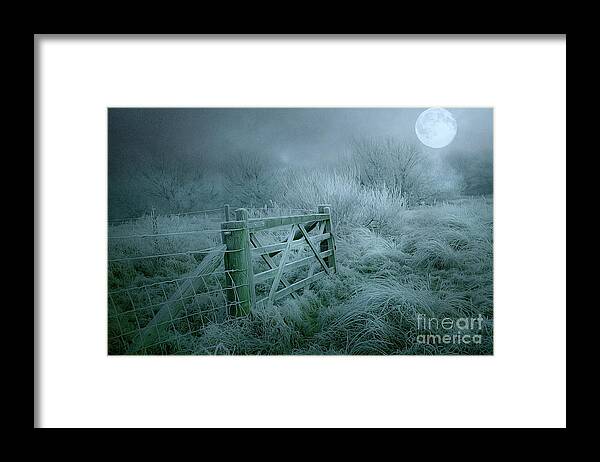 Frost Framed Print featuring the photograph Frosty Night by Brian Tarr