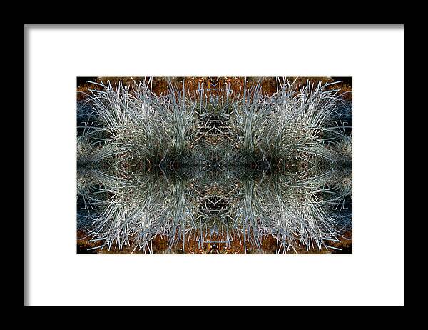 Ice Framed Print featuring the photograph Frozen grass abstract by Gary Cloud