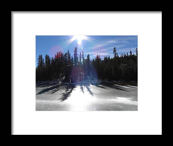 Forest Framed Print featuring the photograph Sun Reflecting Kiddie Pond Divide CO by Margarethe Binkley