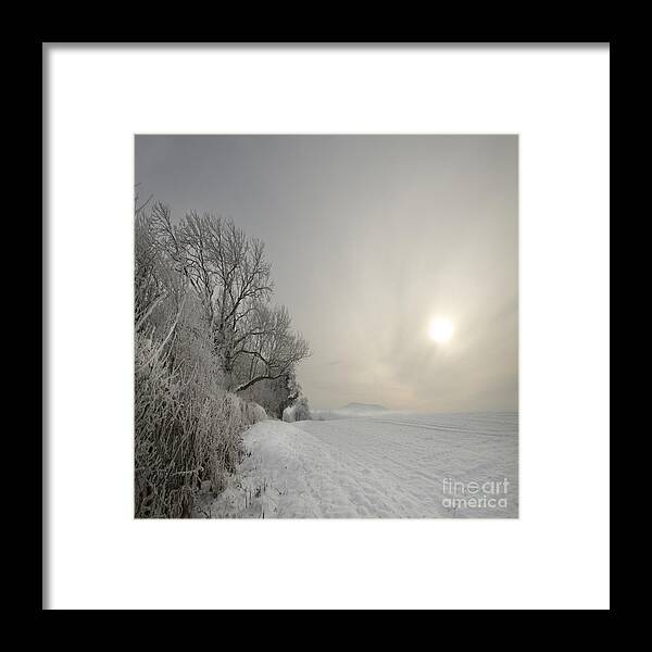Winter Framed Print featuring the photograph Frozen Landcape by Ang El