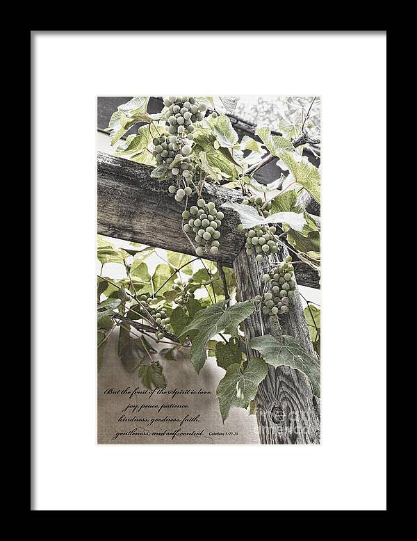 Abundance Framed Print featuring the photograph Fruit Of The Spirit by Diane Macdonald