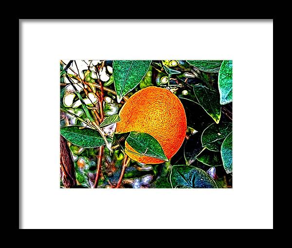 Fruit Framed Print featuring the photograph Fruit - The Orange by Glenn McCarthy Art and Photography
