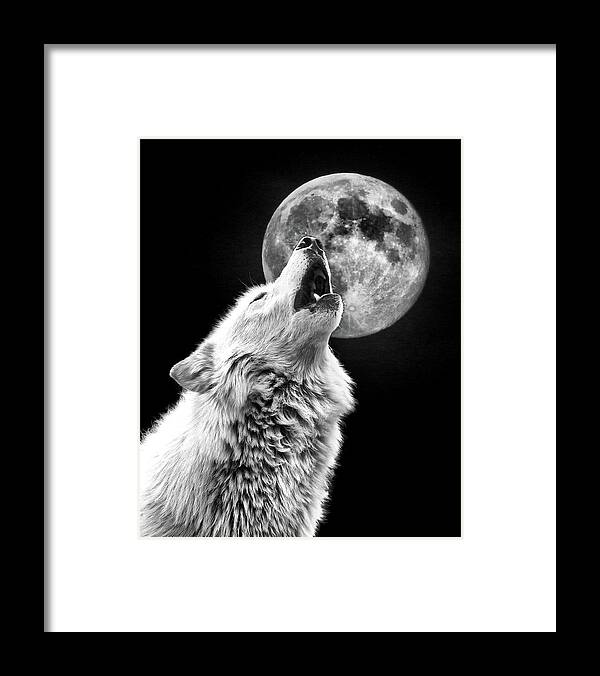 Wolf Framed Print featuring the photograph Full Moon Howl by Steve McKinzie