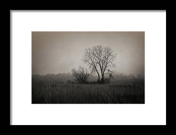Wyandot Meadows Framed Print featuring the photograph Further Down The Road by Shawna Rowe