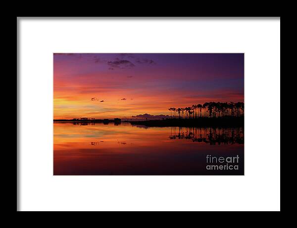 Sunset Framed Print featuring the photograph Gale Creek by Marty Fancy
