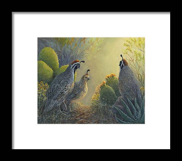 Quail Framed Print featuring the painting Gambel's Quail - Early Light by June Hunt