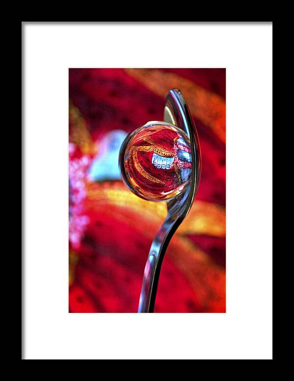 Ball Framed Print featuring the photograph Ganesh Spoon by Skip Hunt