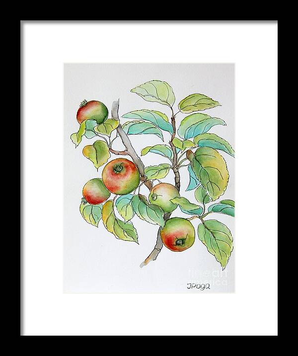 Nature Illustration Framed Print featuring the painting Garden apples sketch by Inese Poga
