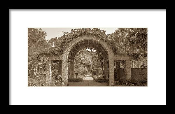 2017 Framed Print featuring the photograph Garden Arch by Darrell Foster