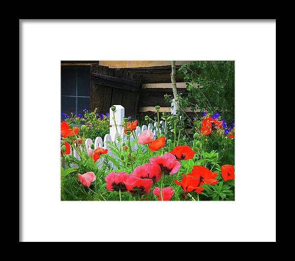 Garden Framed Print featuring the photograph Garden at the Cabin by Priscilla Burgers