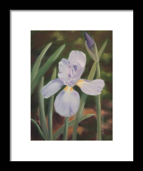 Iris Framed Print featuring the pastel Garden Beauty by Carol Corliss