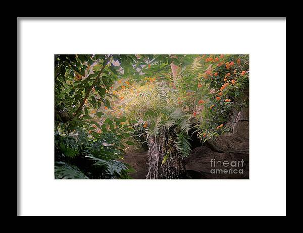 Gardens Framed Print featuring the photograph Garden beauty1 by Merle Grenz