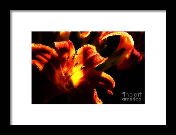 Day Lilies Framed Print featuring the photograph Garden Flames by Michael Eingle