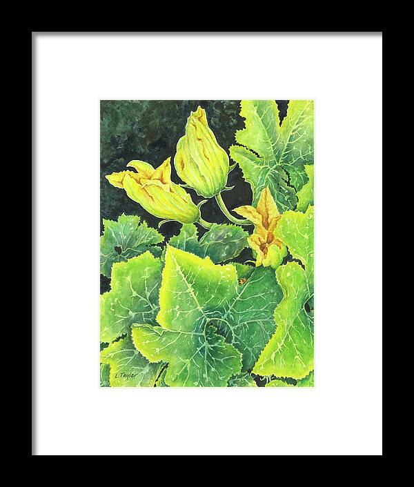 Zucchini Framed Print featuring the painting Garden Glow by Lori Taylor