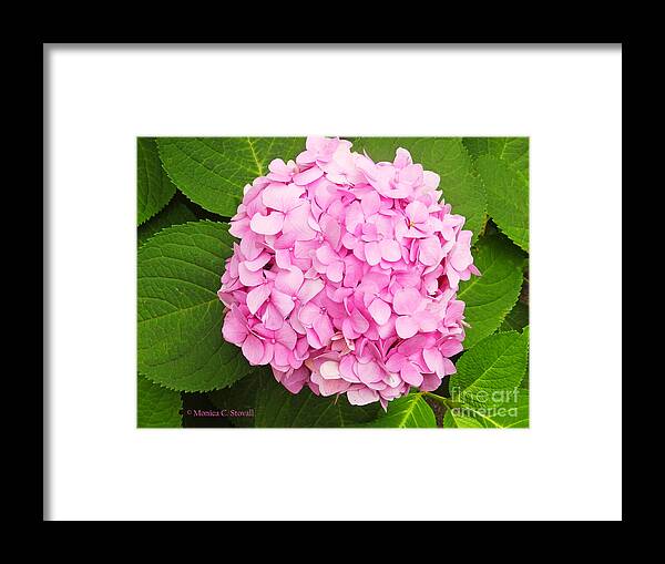 Pink Garden Flowers Framed Print featuring the photograph Garden Landscape No. B6 by Monica C Stovall