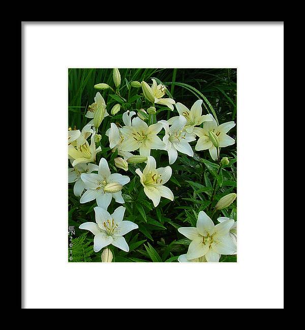 Lily Framed Print featuring the photograph Garden Lilies by Shirley Heyn