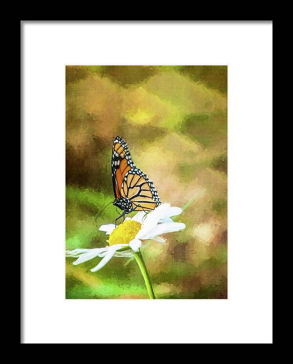 Butterfly Framed Print featuring the photograph Garden Visitor by Cathy Kovarik