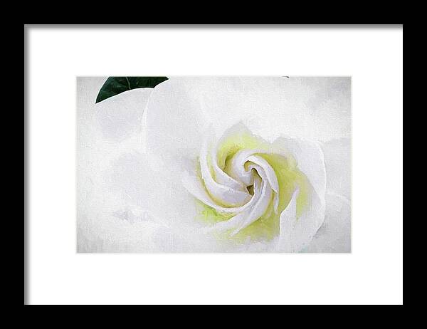 Gardenia Jasminoides Framed Print featuring the digital art Gardenia Swirl by JC Findley
