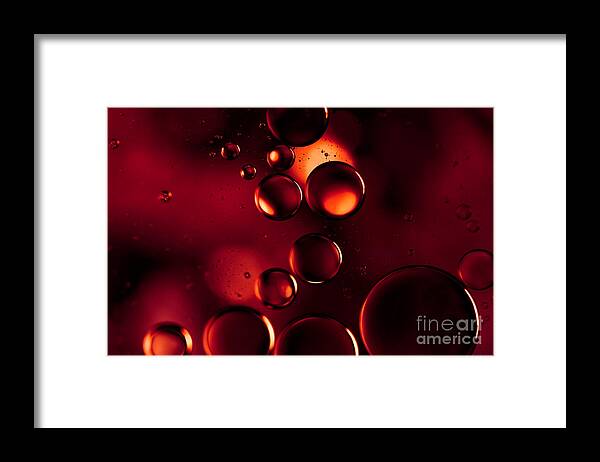 Macro Framed Print featuring the photograph Garnet Red Macro Water Droplets by Sharon Mau