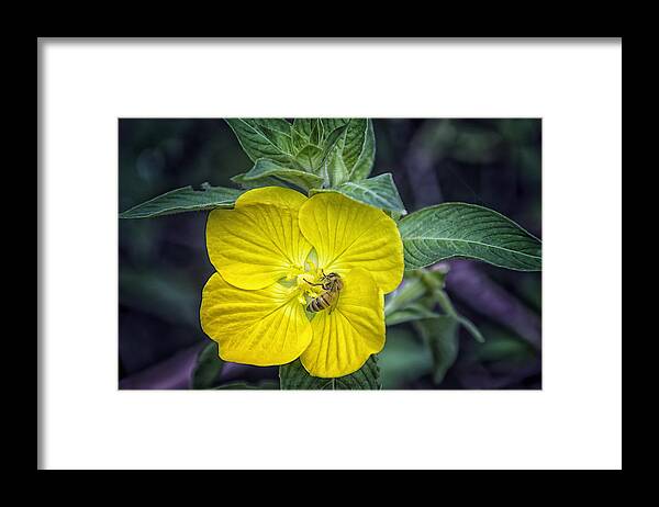 Wildflower Framed Print featuring the photograph Gathering by Louise Hill