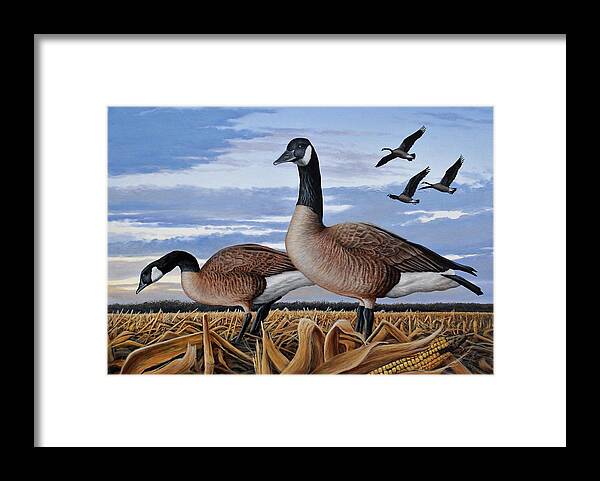 Geese Framed Print featuring the painting Geese in Corn Field by Anthony J Padgett