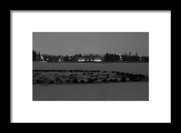 Geese Framed Print featuring the photograph Geese In Frozen Lake by Stephen Holst
