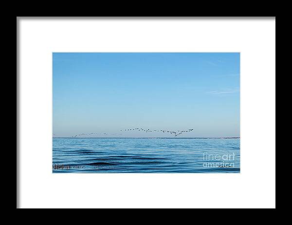 Geese Over The Cape Cod Bay Framed Print featuring the photograph Geese Over the Cape Cod Bay by Michelle Constantine
