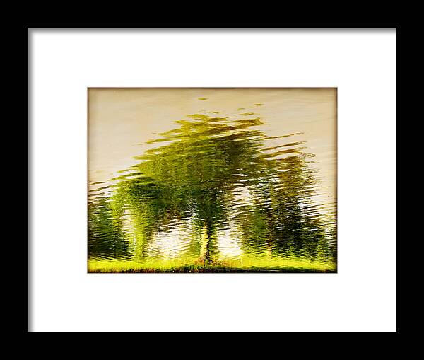 Abstract Framed Print featuring the photograph Gentle Sun by Dana DiPasquale