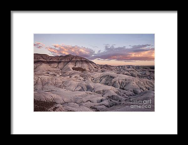 Petrified Forest Framed Print featuring the photograph Geology Lesson by Melany Sarafis