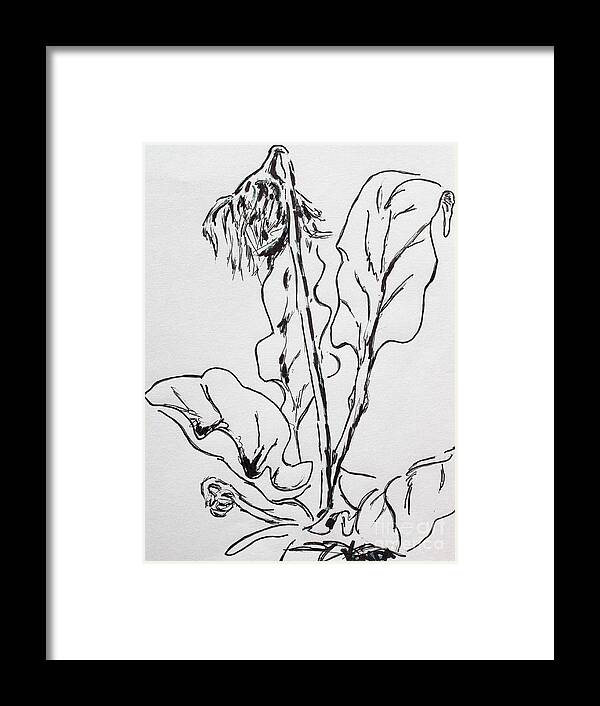 Gerber Daisy Framed Print featuring the drawing Gerber Study I by Vonda Lawson-Rosa