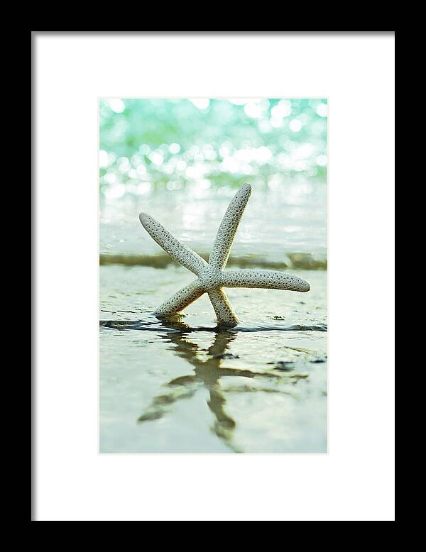 Seastar Framed Print featuring the photograph Get Your Feet Wet by Laura Fasulo